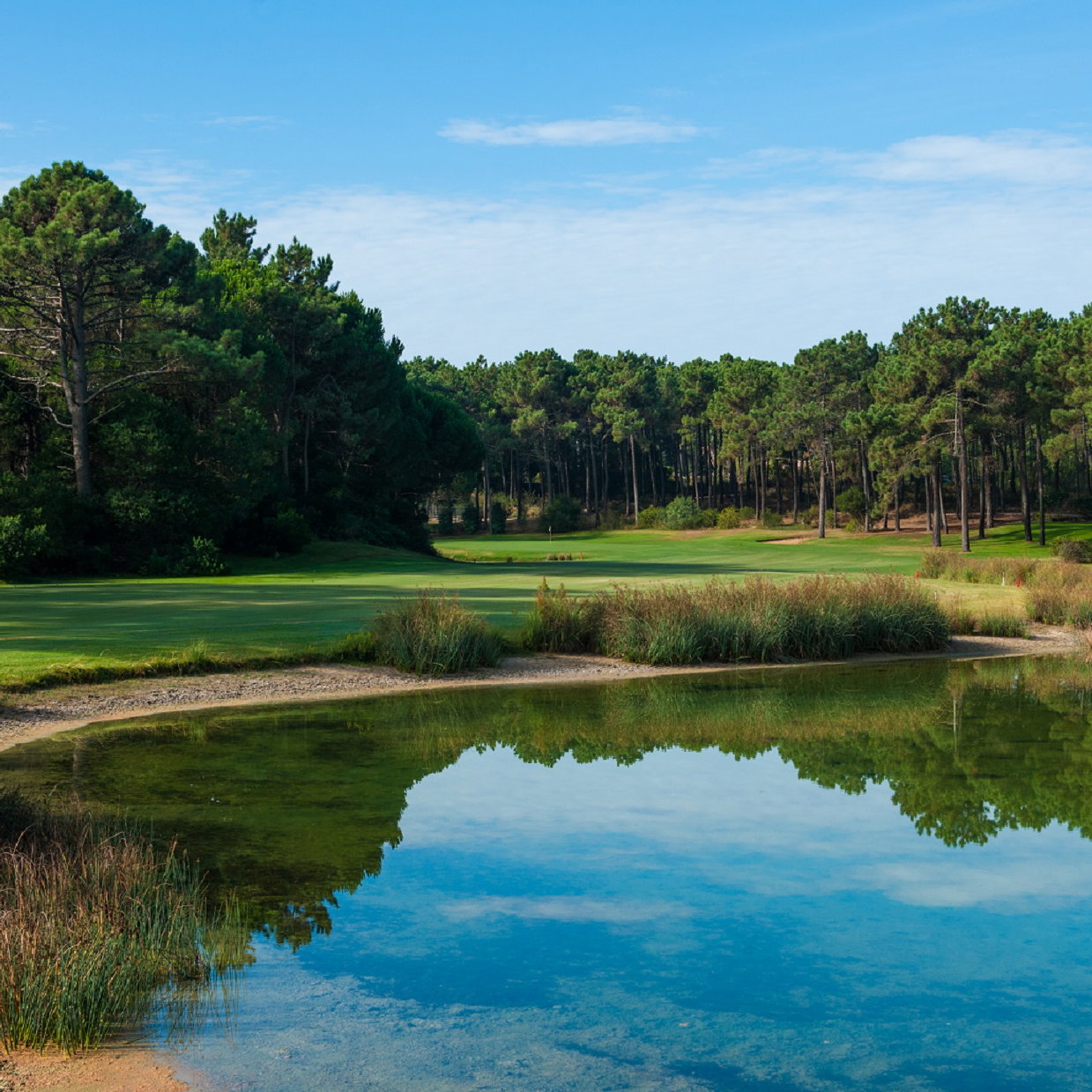 New Orizonte investment heralds return of international golfers to Lisbon